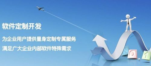 軟件外包 價格計算與公司規(guī)模選擇的智慧指南